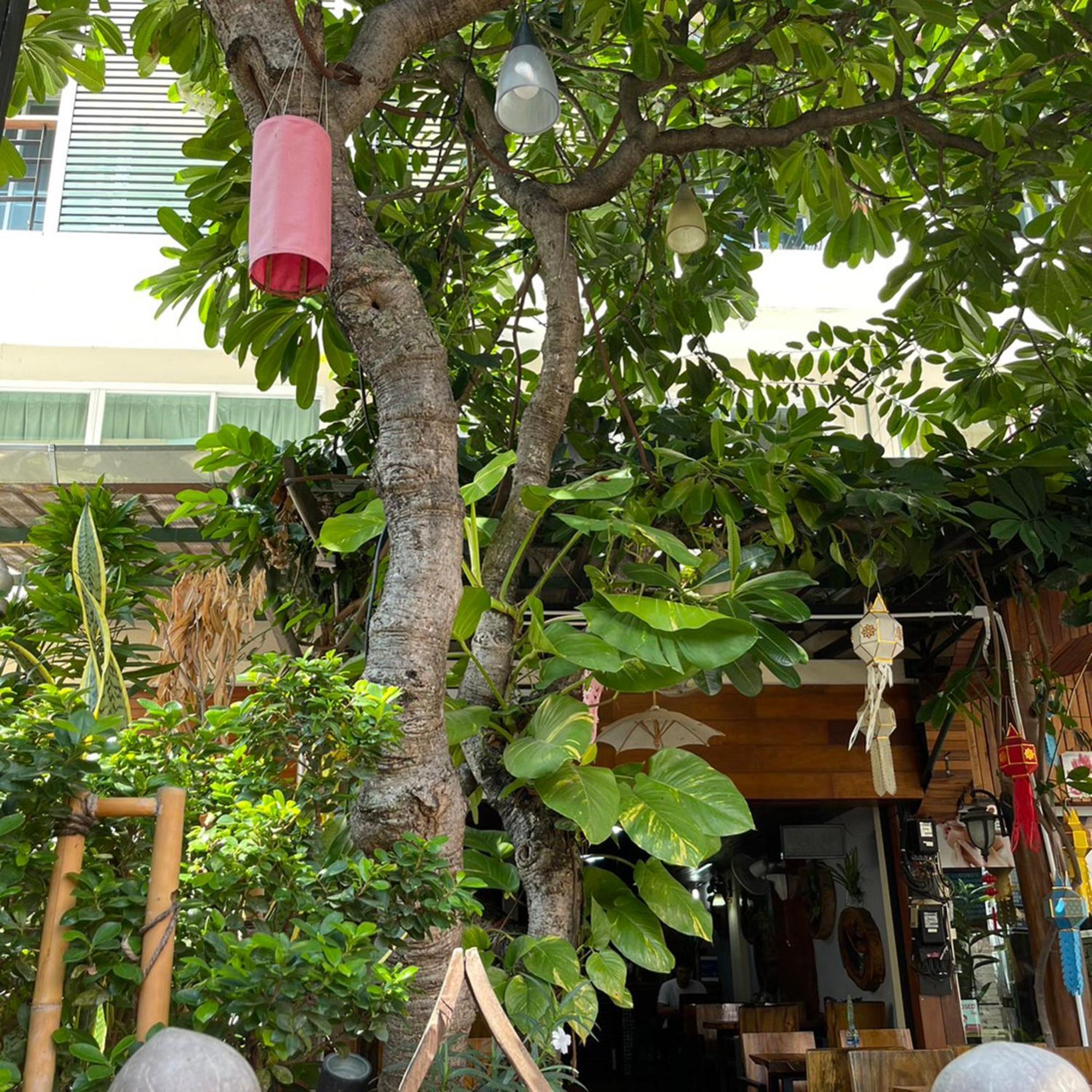 Bb House Budget & Boutique - Chiang Mai, Chiang Mai
